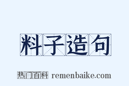 料子造句是什么意思的图片